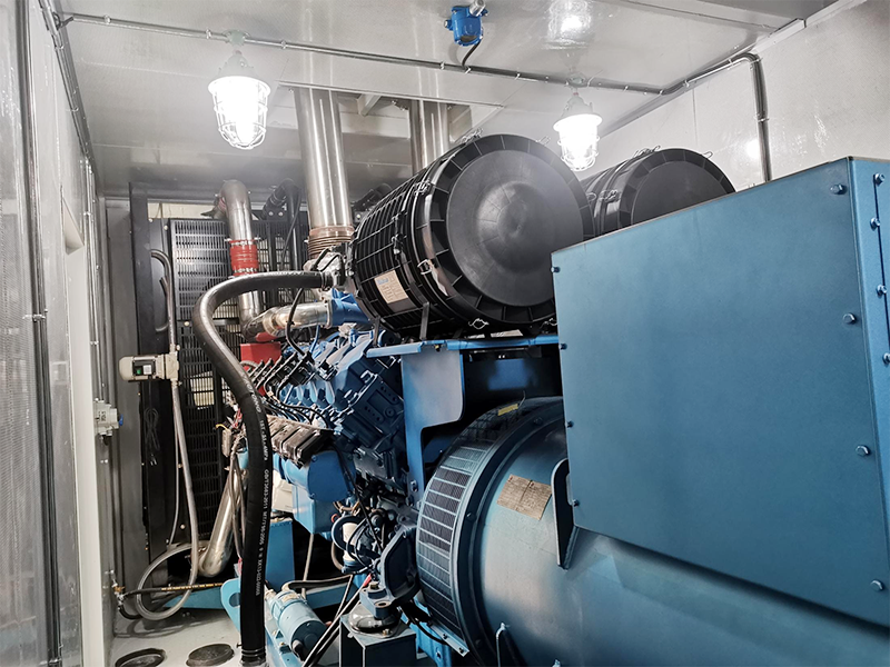 濰柴沼氣發(fā)電項(xiàng)目